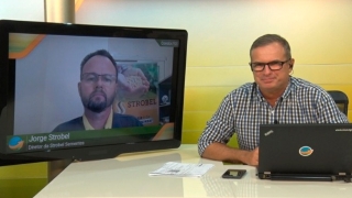 Jorge Strobel - Diretor da Strobel Sementes