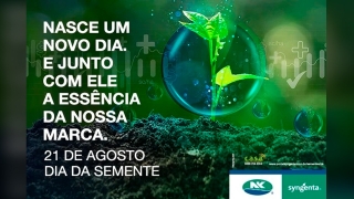 Tatiana Cunha - Gerente de branding da marca NK da Syngenta