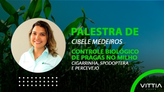 Cibele Medeiros - Palestra