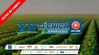 Testes de Campo Agrodinâmica - Valtemir Carlin