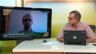 Marcelo Madalosso - Pesquisador da Área de Fitopatologia