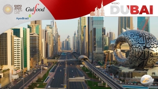 Missão Dubai