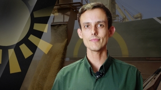 Matheus Pereira