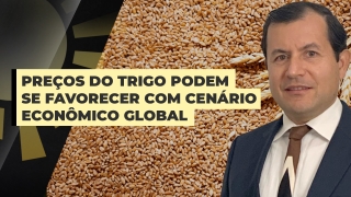 Douglas Araujo - Diretor da PRTK Consultoria