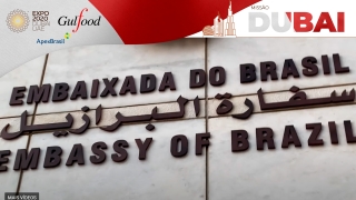 Missão Dubai, segunda reportagem