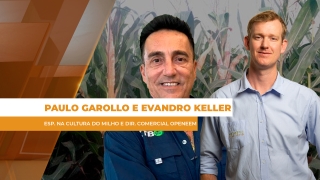 Paulo Garollo e Evandro Keller - Esp. na Cultura do Milho e Dir. Comercial Openeem