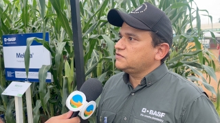 Dyogo Castro - Desenvolvimento de Tecnologia da BASF