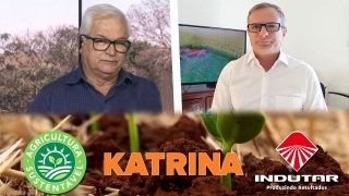 Tempo  & Dinheiro - Marcas e Máquinas, com Frederico Olivi