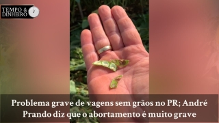 Tempo  & Dinheiro - Com João Batista Olivi