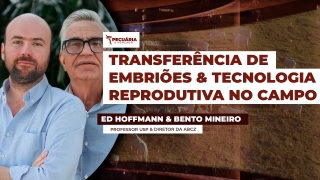 Ed Hoffmann & Bento Mineiro
