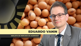 Eduardo Vanin - Analista de Mercado da Agrinvest
