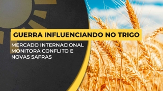 Élcio Bento - Analista da Safras & Mercado