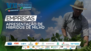 Empresas