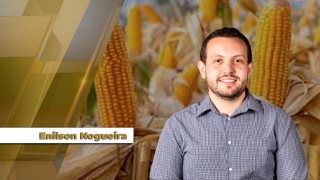 Enilson Nogueira - Analista da Céleres Consultoria