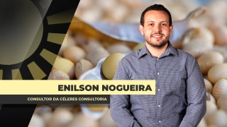 Enilson Nogueira - Consultor Céleres Consultoria