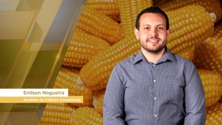 Enilson Nogueira - Analista da Céleres Consultoria