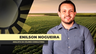 Enilson Nogueira Analista da Céleres Consultoria