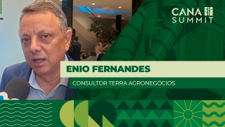 Enio Fernandes