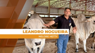 Leandro Nogueira, representante comercial da Nelore Hetty