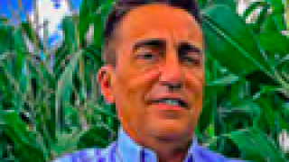 Paulo Garollo - Agrônomo de Desenvolvimento de Mercado Especialista da Bayer