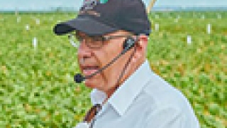 Fabiano Siqueri - CEO da Proteplan