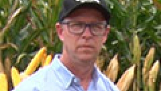 Carlo Boer - Agrônomo de campo Corteva