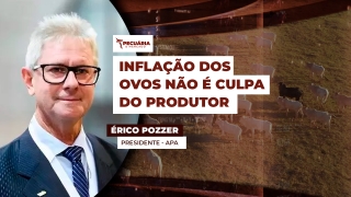 Érico Pozzer - Presidente - APA