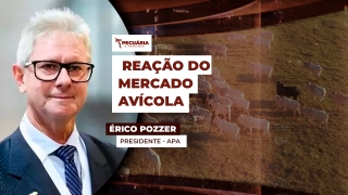 Érico Pozzer - Presidente - APA