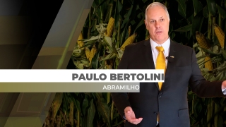 Paulo Bertolini - Presidente da Abramilho