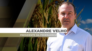 Alexandre Velho - Presidente da Federarroz