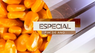 Otávio Fernandes Canesin - Presidente da Abramilho