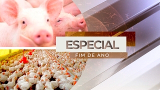 Wagner Hiroshi Yanaguizawa - Analista de Proteína Animal do Rabobank