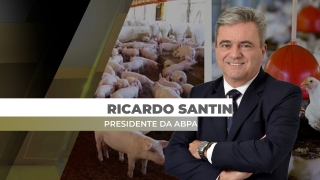 Ricardo Santin - Presidente da ABPA