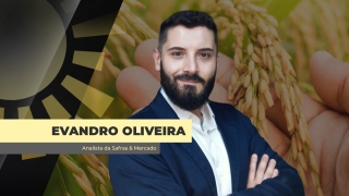 Evandro Oliveira - Analista de Mercado da Safras & Mercado