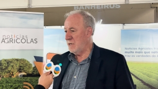 Everardo Mantovani - Presidente da ABID