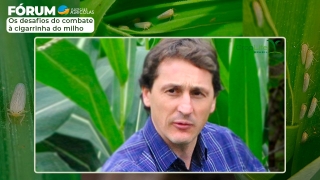 Ricardo Casa - Dr. em fitopatologia e professor CAV-UDESC