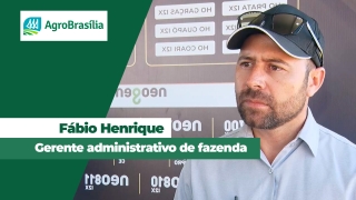 Fábio Henrique Gerente administrativo de fazenda
