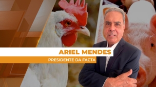 Ariel Mendes - Presidente da Facta