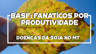 As doenças da soja presentes na BR-163 - MT