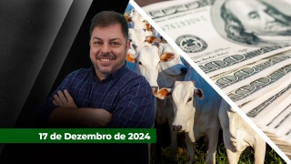 Fechamento de Mercado - Com Aleksander Horta