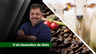 Fechamento de Mercado, com Aleksander Horta