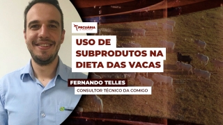 Fernando Telles - Consultor Técnico da COMIGO