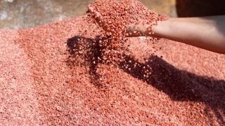 Com foco em sustentabilidade e em elevar patamares de produtividade agropecuária, Mosaic Fertilizantes apresenta linha MPasto na Agrishow 2022