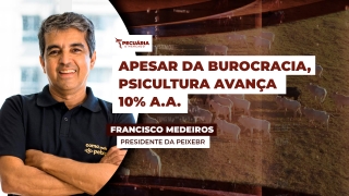 Francisco Medeiros - Presidente da PeixeBR