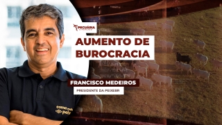 Francisco Medeiros - Presidente da PeixeBR