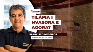 Francisco Medeiros - Presidente da PeixeBR