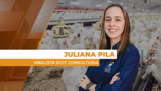 Juliana Pila - Analista Scot Consultoria