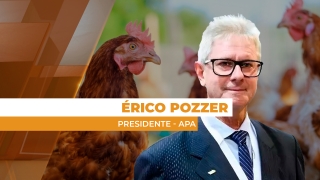 Érico Pozzer - Presidente - APA