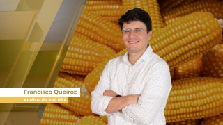 Francisco Queiroz - Analista do Itaú BBA