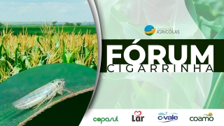 Fórum da cigarrinha